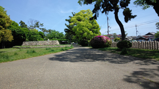 ���ӻ�����