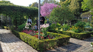 ���ͻ�Ωʸ���ݽѥ��󥿡� �ᥤ�󥬡��ǥ�