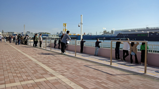 ���궥���� ����������