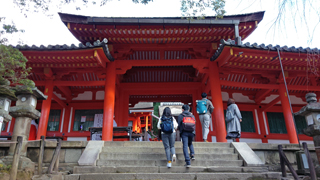 ������� ����