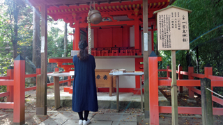 ������� ��������