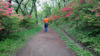 ��뻳�л�������