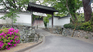 ����� ����