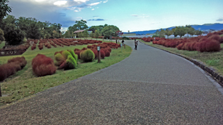 ������ε�