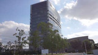 Ï²λ³¥Ó¥Ã¥°°¦ ³°´Ñ