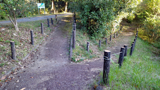 �²λ�����ʪ�����в֥��󥿡� ��ϩ