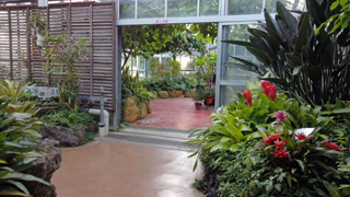 �²λ�����ʪ�����в֥��󥿡� ����