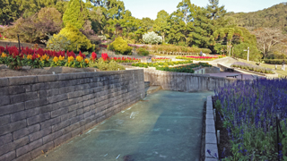 �²λ�����ʪ�����в֥��󥿡� �ѥΥ�޲���