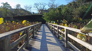 �²λ�����ʪ�����в֥��󥿡� �ϥ���