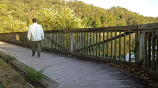 �²λ�����ʪ�����в֥��󥿡� ����