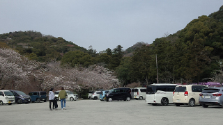 ����� ��־�