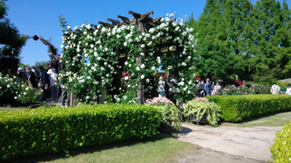 ��������ʸ��� ���󥰥�å��奬���ǥ�