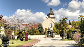 ���ɥ� ����