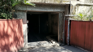 ���ɥ� ��������