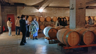 ���ɥ� ���顼