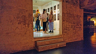 ���ɥ� Ÿ��