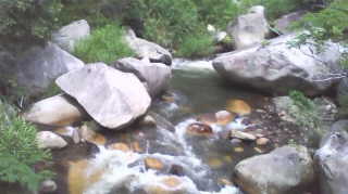 ���綮 ����