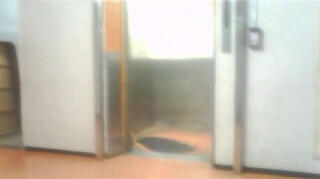 MIDORI���� �Хå��䡼�ɥ���١���