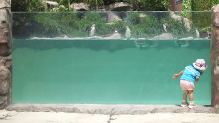 ���Ļ�Ωưʪ�� �ڥ󥮥�