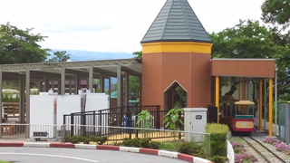 ���Ļ�Ωưʪ�� Ʀ����