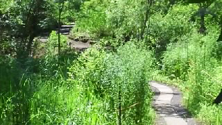 �ڰ���Į��ʪ�� ��ϩ