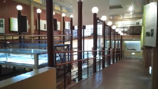 �ڰ���Į��ʪ�� Ÿ����