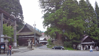 �ͱ����� ��һ�ƻ