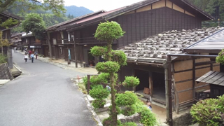 ���ƽ� ��