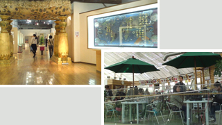 ������ū����ե롼�ĸ��� ������ι���