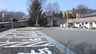 ������ū����ե롼�ĸ��� �ְػ���־�