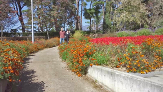 ��Ȭ���ٲ֤ο�����