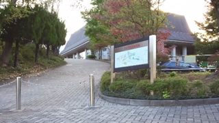 �֤ɤ��ε� ����