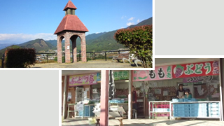 �֤ɤ��ε� ��˾�ξ⡦����ʪľ���