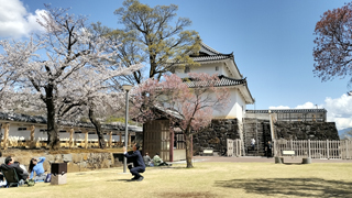 ���Ϧ ����