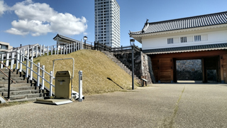 ������� ����