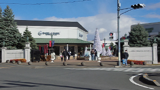 ����ץ�ߥ��ࡦ�����ȥ�å� ����