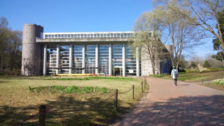 ���ɤ�ξ� ����