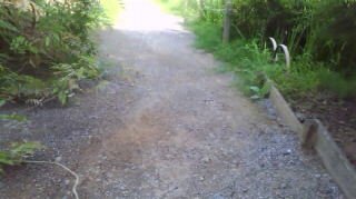 ���������ե��ѡ��� ��ϩ