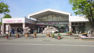 ���������ե��ѡ��� ���̥�����