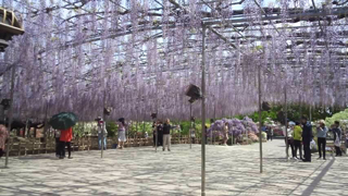 ���������ե��ѡ��� ��ƣ