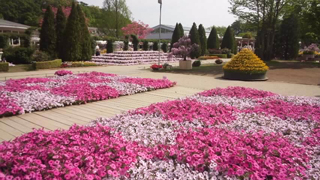 ���������ե��ѡ��� �ե����ơ���