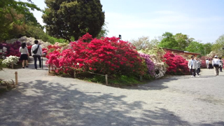 ���������ե��ѡ��� �ĥĥ��γ�