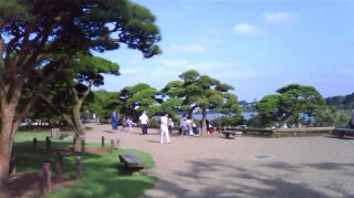 ��ڱ� ������