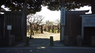 ��ڱ� ������