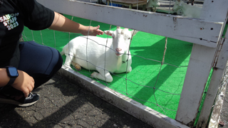 ウーピー園長のあにまるふれんZOO