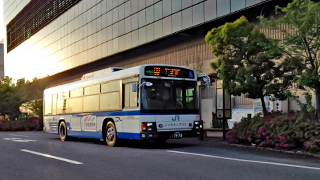 ������⡼���ڱ� �Х���