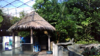 ���ڸ��ʤ������ͷ�� ���ޥ��������