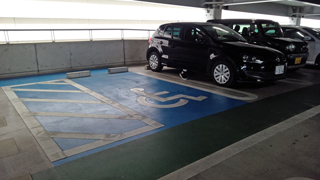 ����ɴ��Ź ��־�