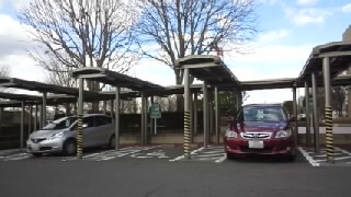 ���Եܻ�ʸ����� �ְػ���־�