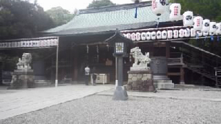 ���Ե���ӻ����� ����